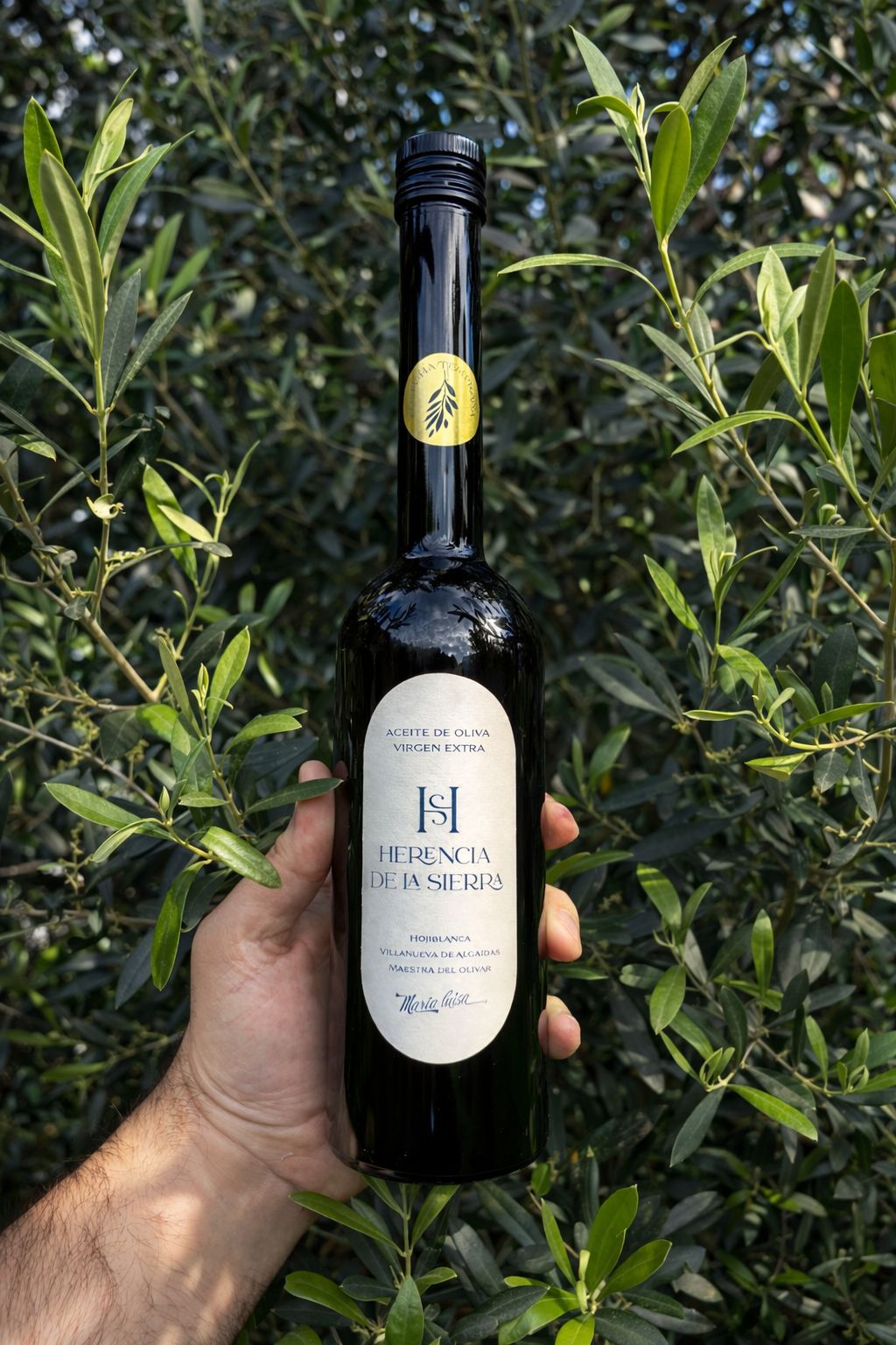 AOVE · Edición limitada