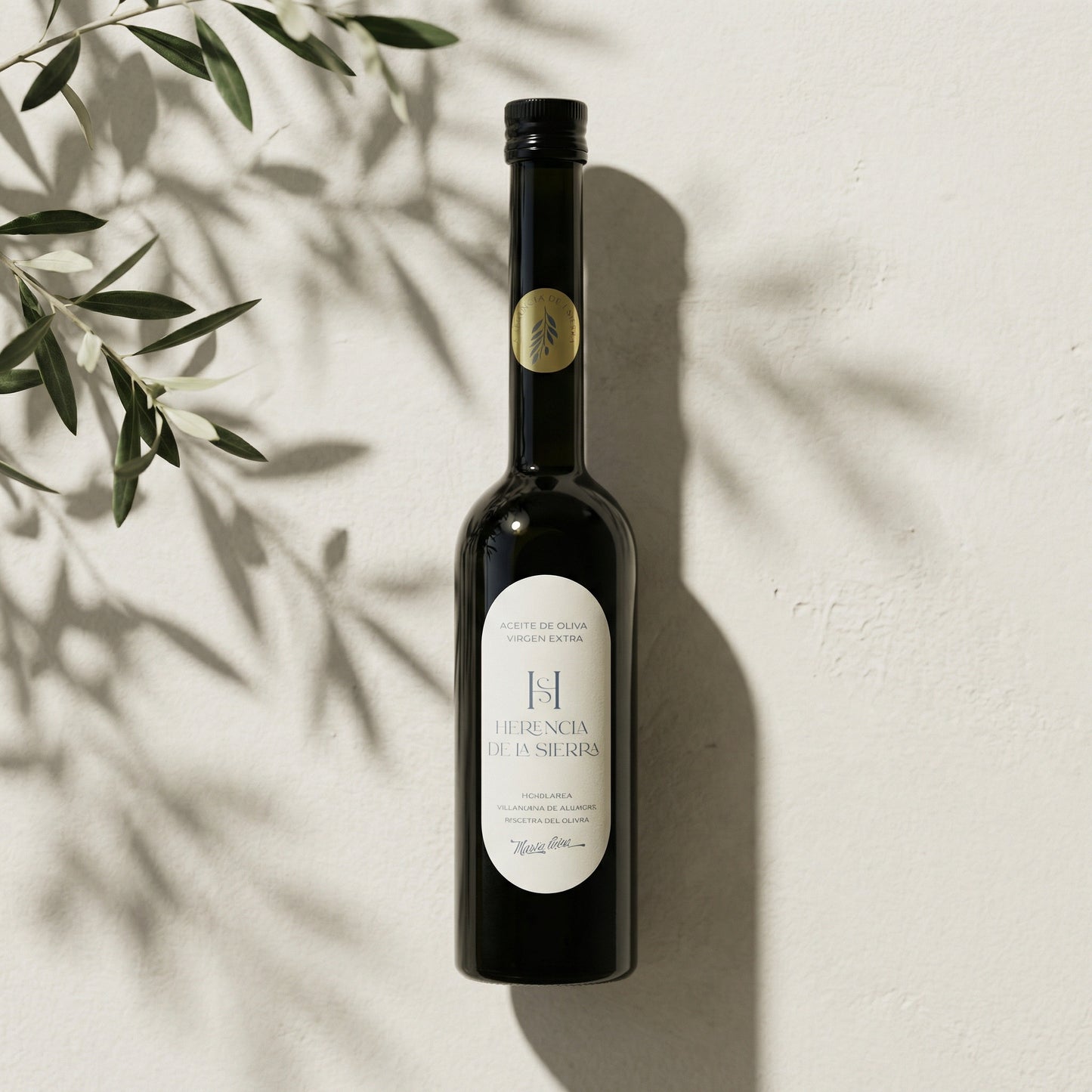 AOVE · Edición limitada